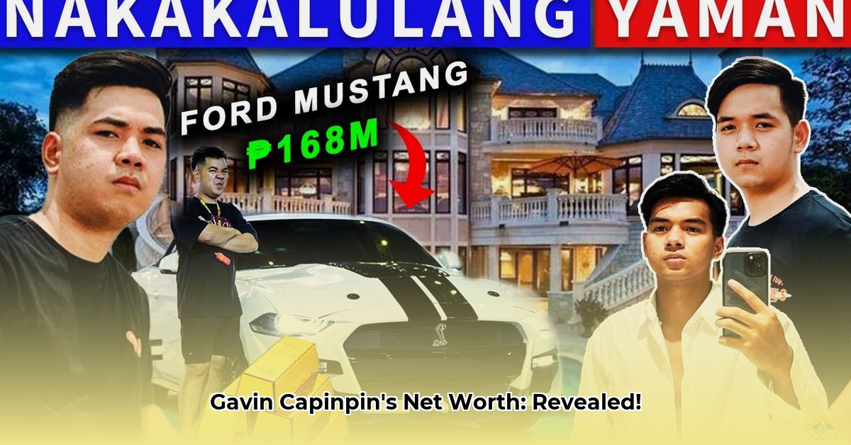 gavin-capinpin-net-worth